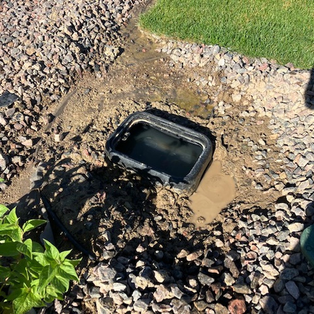 Professional Landscaping And Design - His team's work was faulty and they broke my existing sprinkler box that flooded and collapsed. - Landscaping Near Me Professional Landscaping And Design - His team's work was faulty and they broke my existing sprinkler box that flooded and collapsed. - Landscaping Near Me