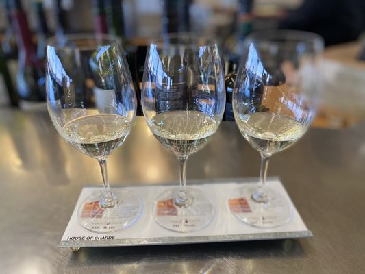 Vino Volo by null
