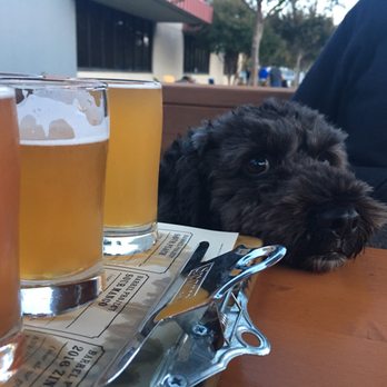 Calicraft Brewing - Dog-friendly - Breweries Near Me - Walnut Creek, California Calicraft Brewing - Dog-friendly - Breweries Near Me - Walnut Creek, California