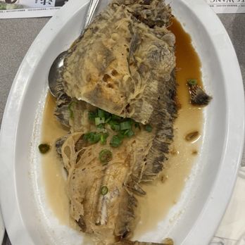 Fuxing Spring - whole fish *lunch special - Seafood Near Me - Monterey Park, California Fuxing Spring - whole fish *lunch special - Seafood Near Me - Monterey Park, California
