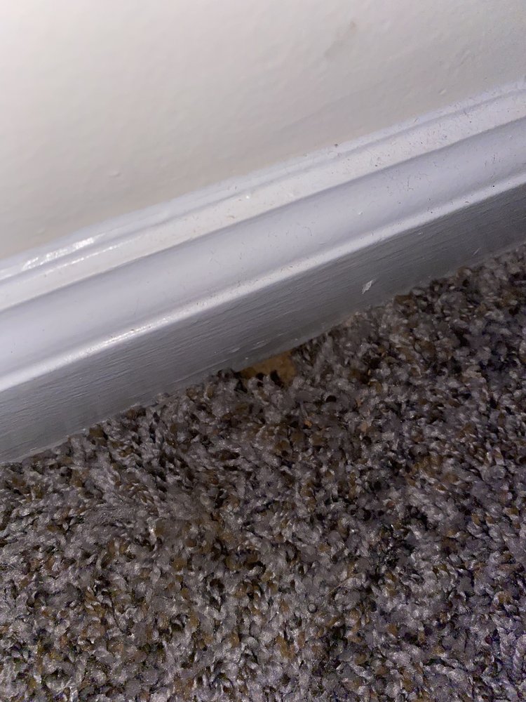 HOWARD CROSSING APARTMENT HOMES Updated September 2024 42 Photos & 22 Reviews 8732 Town