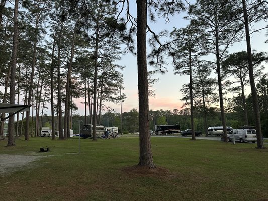 Laura S. Walker State Park by null