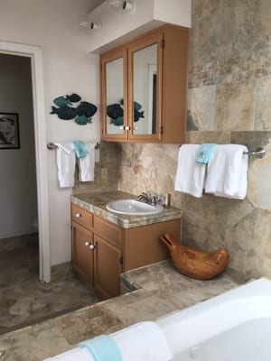 Starfish Point by null