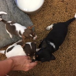Double M Feed Garden & Pet Supply