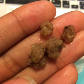 The Broiler - The pieces I found in my food, that had me chewing forever and impossible to swallow and my sandwich was full of them! - Pizza Near Me - Arlington, Virginia