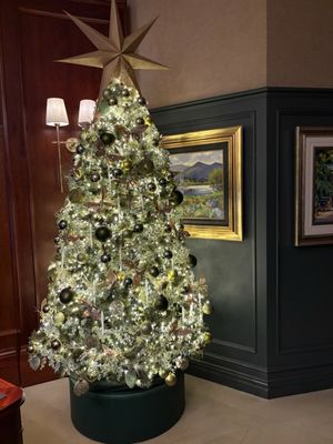 The Killarney Park by null