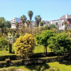 Parco Ciro Esposito