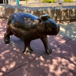 Happy Hollow Park and Zoo