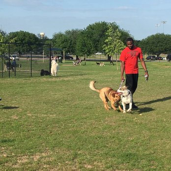 Mickey's Dog Park - My dog really enjoyed himself here! I like that there are shaded seating areas but I wish the water fountain worked for the dogs. - Dog Parks Near Me - Killeen, Texas