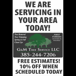 G & M Tree Service