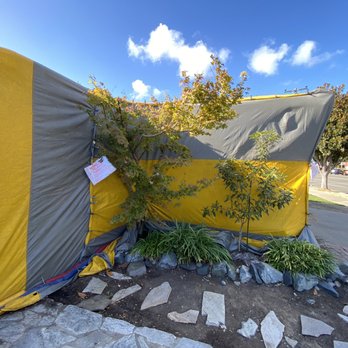 Proven Termite Solutions - They went around my plants and trees - Pest Control Near Me - San Jose, California Proven Termite Solutions - They went around my plants and trees - Pest Control Near Me - San Jose, California