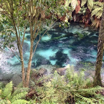 Te Waihou Walkway - Hiking Near Me - Putaruru, WKO Te Waihou Walkway - Hiking Near Me - Putaruru, WKO