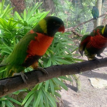 Brevard Zoo - Zoos Near Me - Melbourne, Florida Brevard Zoo - Zoos Near Me - Melbourne, Florida