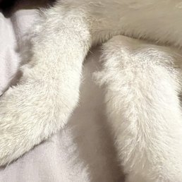 Legs were shaved, left uneven Legs were shaved, left uneven