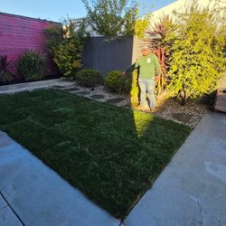Eli's Landscaping - Grass