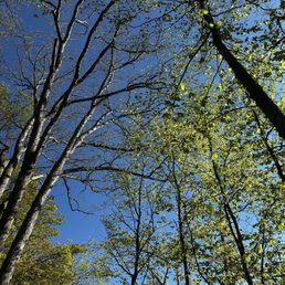 A perfect sunny, clear blue sky, day! A perfect sunny, clear blue sky, day!