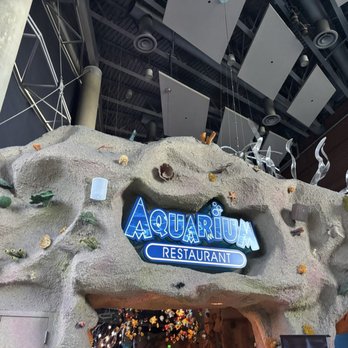 Downtown Aquarium - Museums Near Me - Denver, Colorado Downtown Aquarium - Museums Near Me - Denver, Colorado
