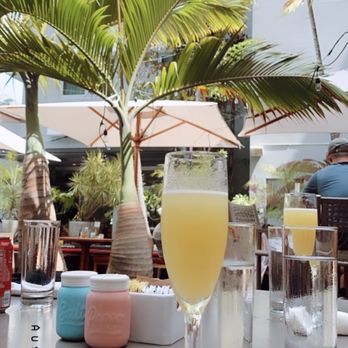 Orange Blossom - Breakfast & Brunch Near Me - Miami Beach, Florida
