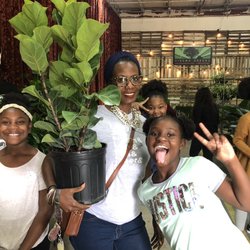 Cinema Greens - Some of our Pop-Up-Plant sale winners! Check out our Instagram feed for details in our monthly sales of screen used plants.