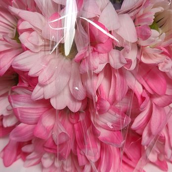 Conroy's Flowers - They mistreated the flowers - Florists Near Me - Torrance, California Conroy's Flowers - They mistreated the flowers - Florists Near Me - Torrance, California