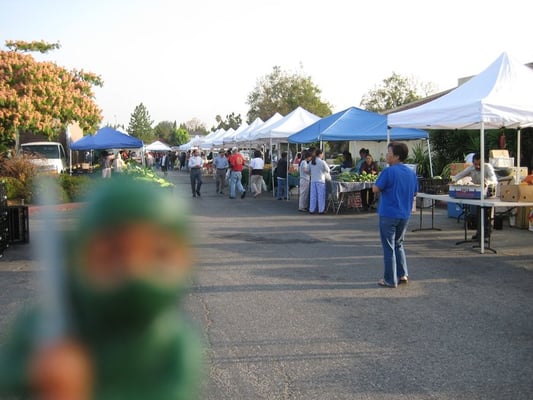 Berryessa Farmers' Market by null