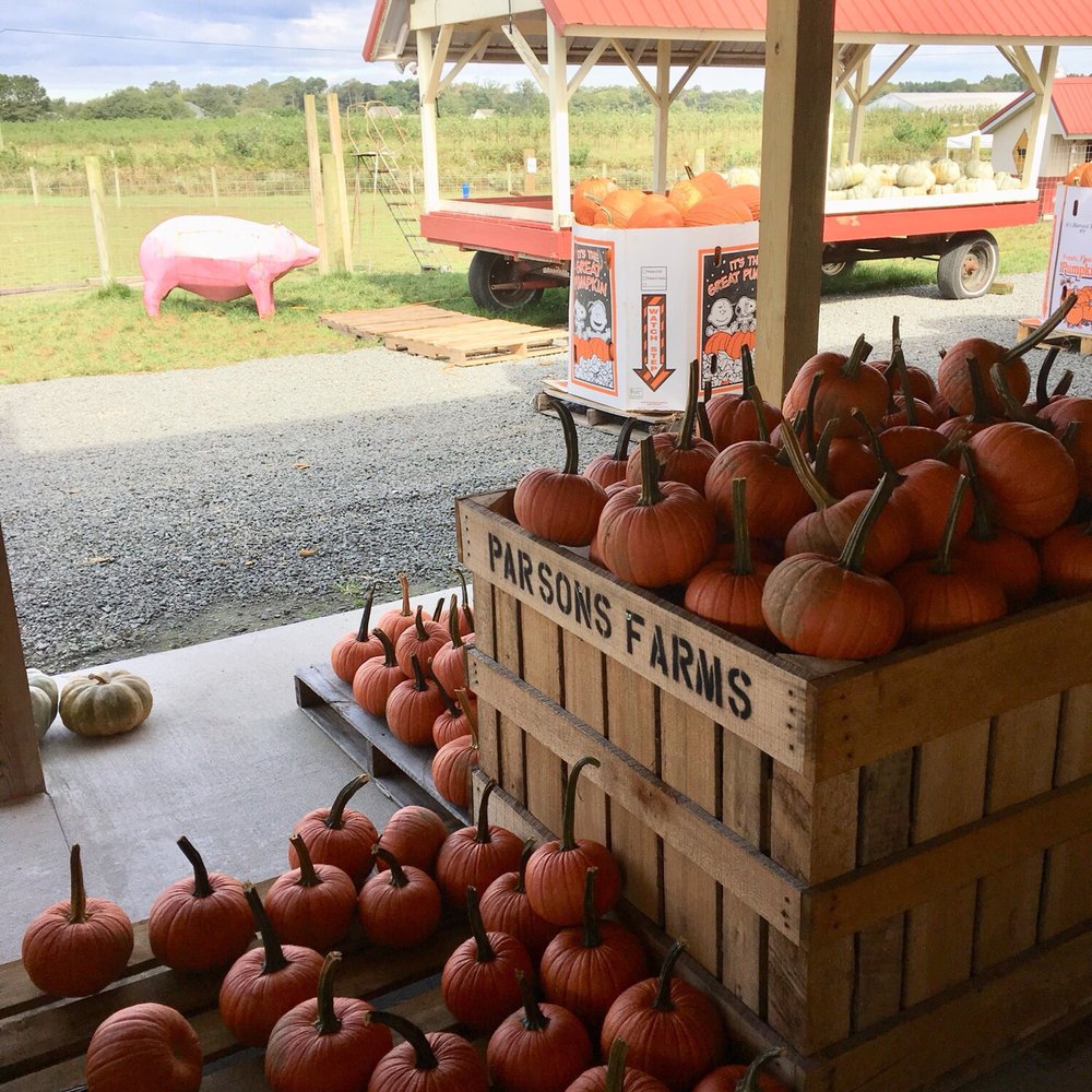 THE BEST 10 Farmers Market in Salisbury, MD Last Updated September 2021 Yelp