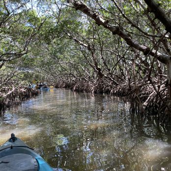 Capt Yak - Mangroves - Rafting/Kayaking Near Me - Tierra Verde, Florida Capt Yak - Mangroves - Rafting/Kayaking Near Me - Tierra Verde, Florida