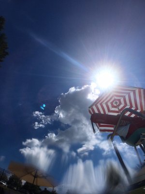 Patton Pool PATTON HALL POOL COMPLEX - Updated April 2025 - 18 Photos - 214 Jackson ...