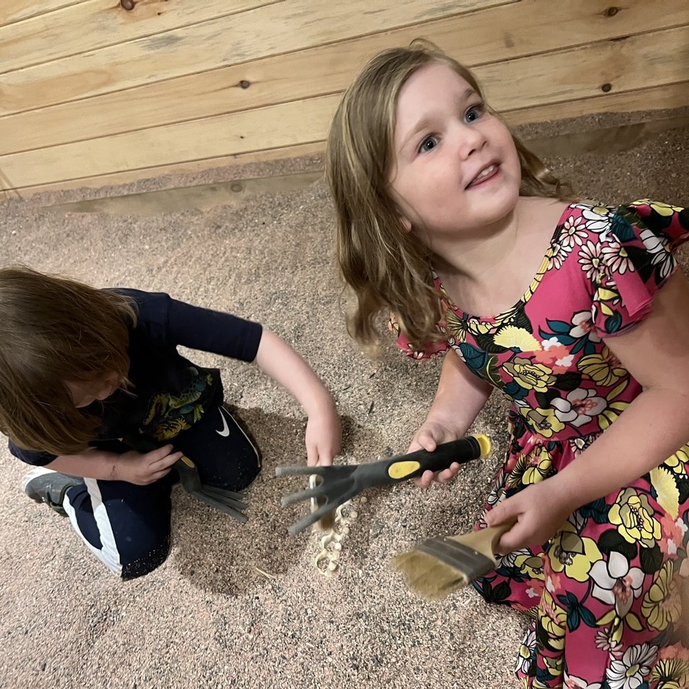 Junior Paleontologists! Junior Paleontologists!
