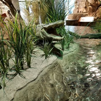 Witte Museum - Museums Near Me - San Antonio, Texas