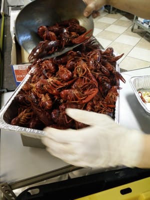 New Orleans Seafood by null