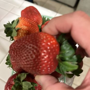 Thacker Berry Farms - a person picking a strawberry - Farmers Market Near Me - La Habra, California Thacker Berry Farms - a person picking a strawberry - Farmers Market Near Me - La Habra, California
