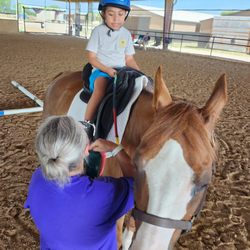 Living Hope Equine Therapy