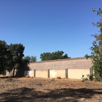 California Tree Solutions - After cutting - Tree Services Near Me