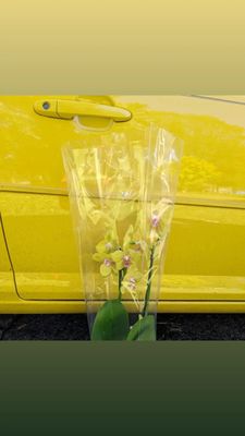 Duke Gas and Food Mart