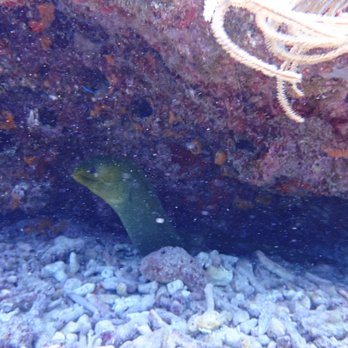 Sail Fish Scuba - Scuba Diving Near Me - Key Largo, Florida