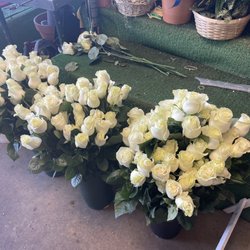 Schneider's Flowers - White roses