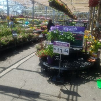Walmart - Some of the garden center - Department Stores Near Me - Salem, Massachusetts