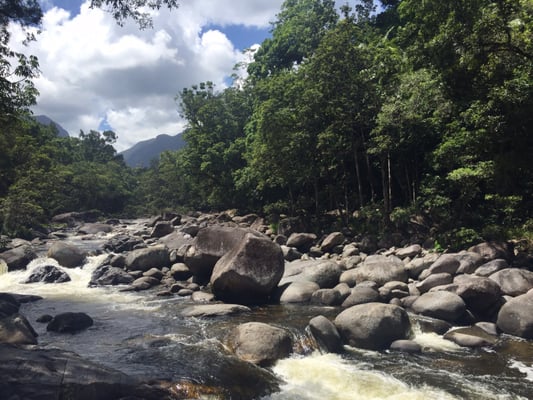 Mossman Gorge by null
