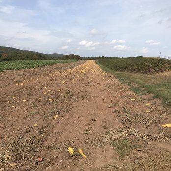 Lyman Orchards - Fruits & Veggies Near Me - Middlefield, Connecticut