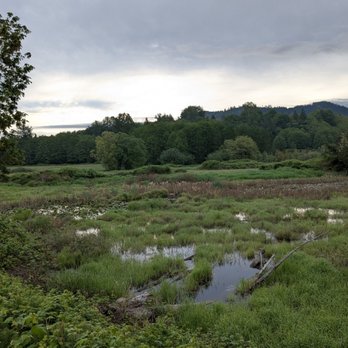 Whitehorse Trail - Hiking Near Me - Darrington, Washington Whitehorse Trail - Hiking Near Me - Darrington, Washington