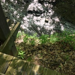 Cleveland Metroparks - Buttermilk Falls
