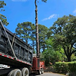 Tidewater Tree Service