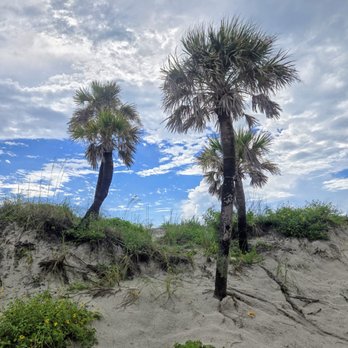 Clearwater Beach - Beaches Near Me
