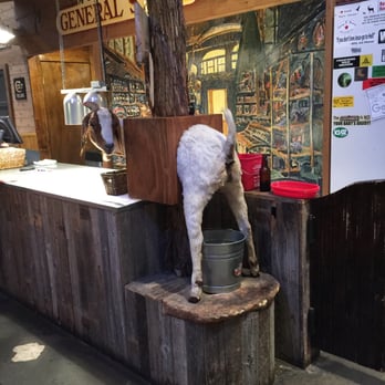 The Stumblin' Goat Saloon