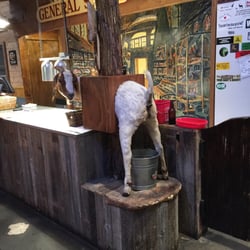 Stumblin' Goat Saloon - They have the coolest weirdest stuff ever!!
