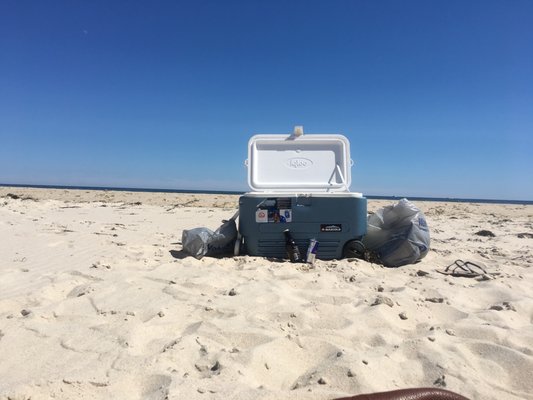 Ponquogue Beach by null