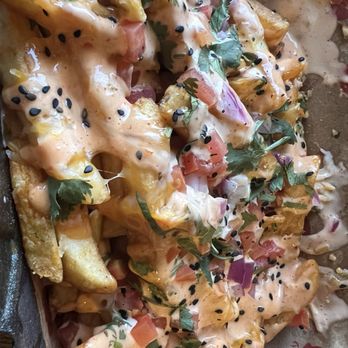 Paradise Street Eats & Biryani - Paradise Loaded Fries - Indian Near Me - Dearborn, Michigan