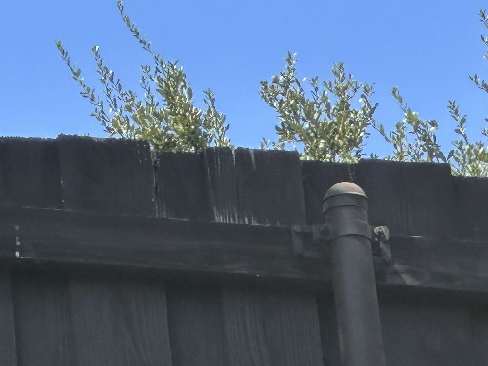 Slide of Elevated Roofing