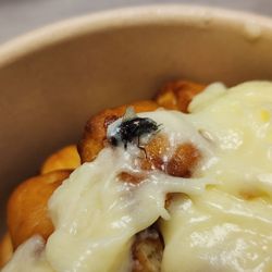 Wendy's cinnabon dessert. 45 minutes in the drive thru, order completely wrong, what food I did get is infested with a fly.